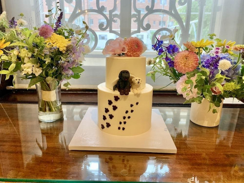 Fondant-Creations-62