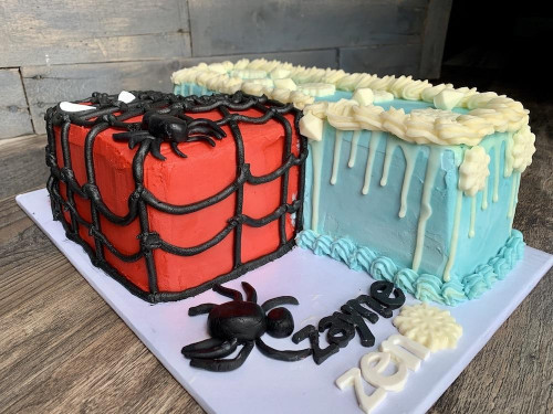 Sculpted-Cakes-29